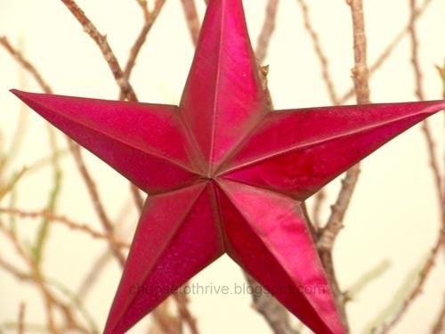 red-tin-star