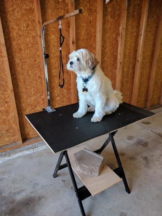 repurposed-dog-grooming-table