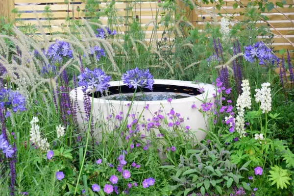 water feature in small yard