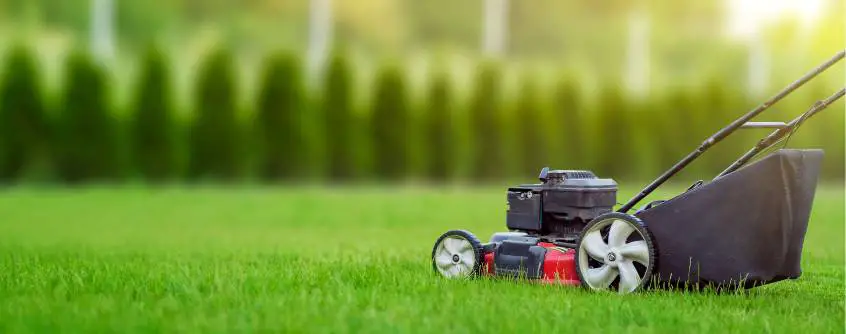 Achieving a Green Oasis Tips for Mastering Lawn Care hdr
