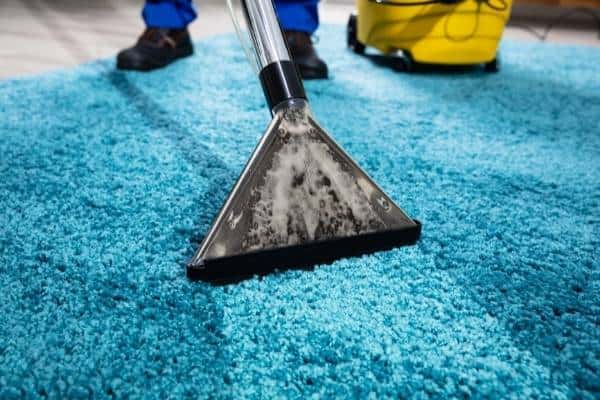 Hiring a professional carpet cleaner