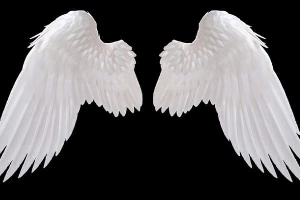 BUDGET-FRIENDLY AND EASY ANGEL WINGS / DIY ANGEL WINGS MADE OF