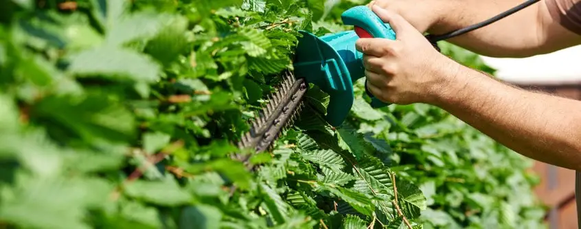 benefits of corded electric hedge trimmers