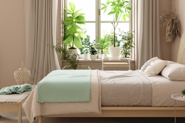 best bedroom plants