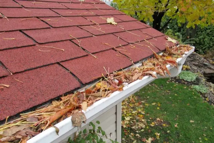 clearing gutters