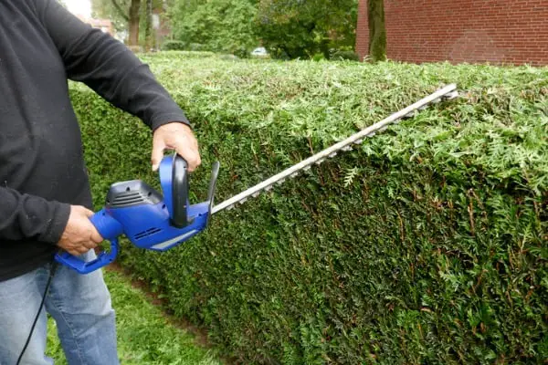 corded electric hedge trimmers safety