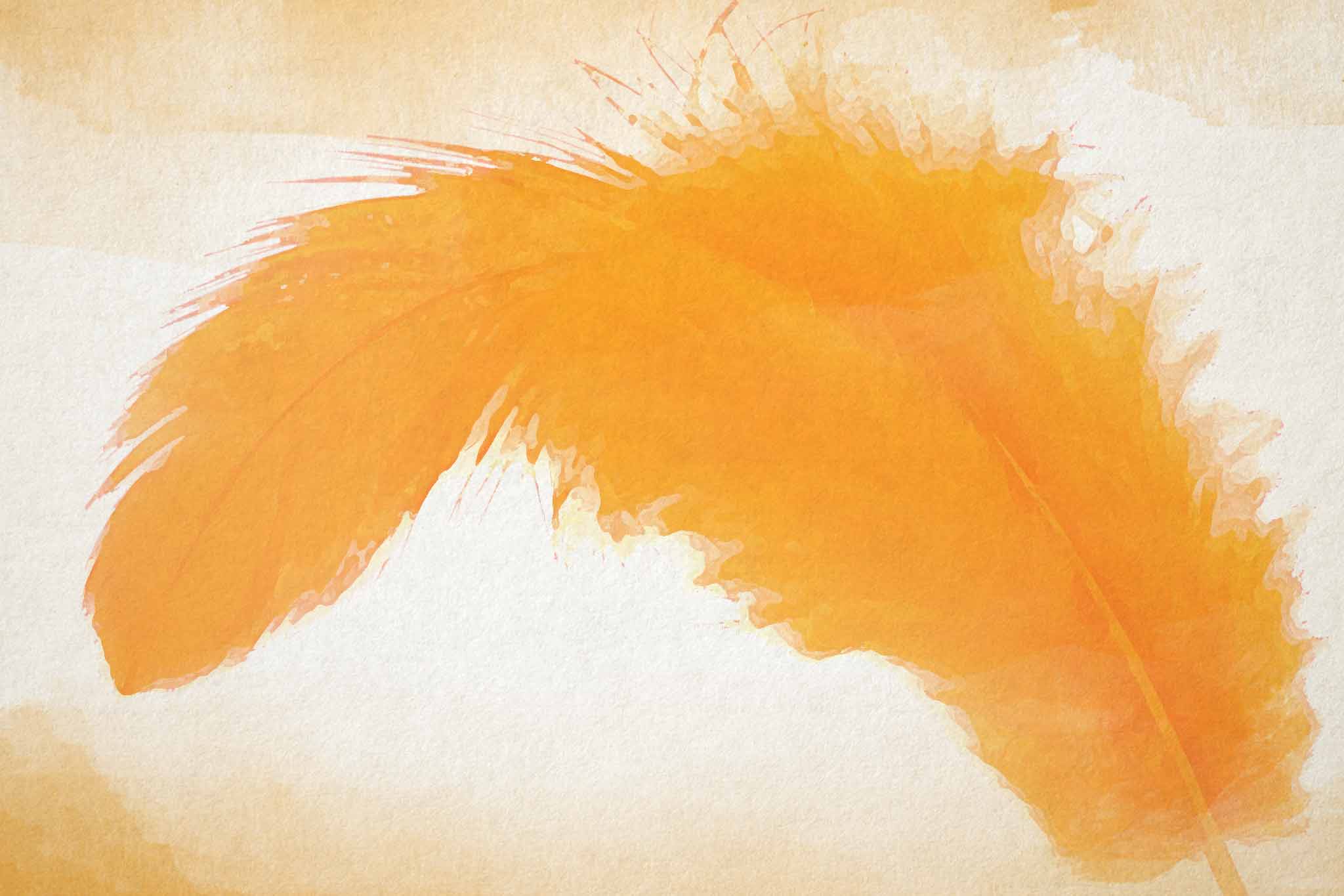 feather orange white