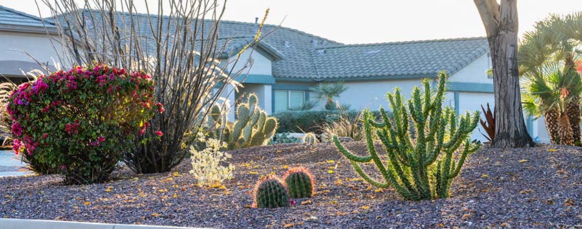 hoa and xeriscaping hdr