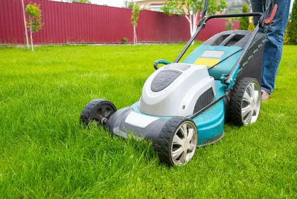 lawn care and fertilize guide