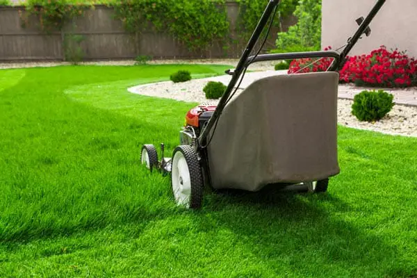 lawn-care