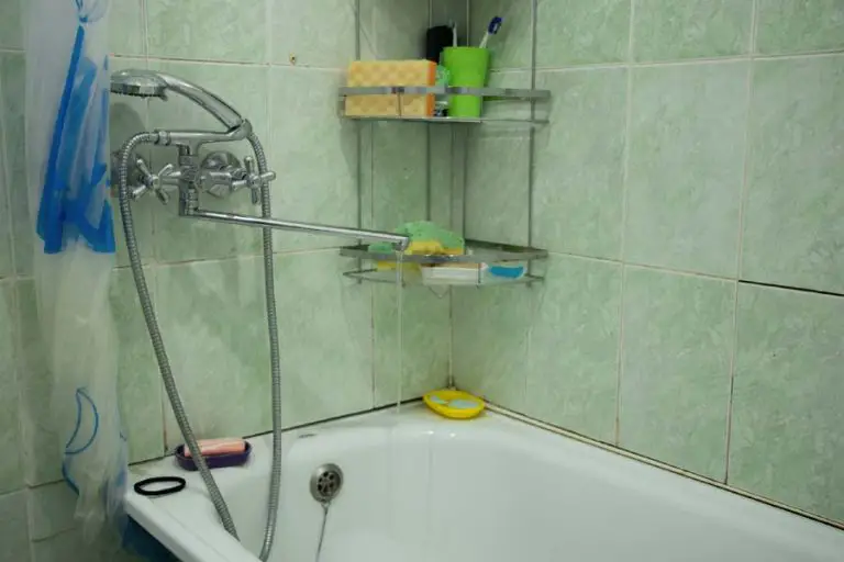 How to Manage Mold and Damp as a Proactive Homeowner