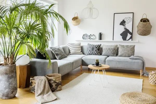 plant next to grey corner sofa in african living room interior