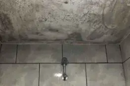 shower mold causes hdr