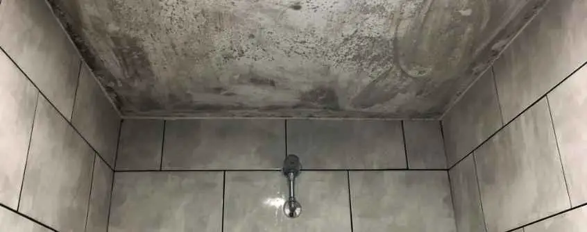 shower mold causes hdr