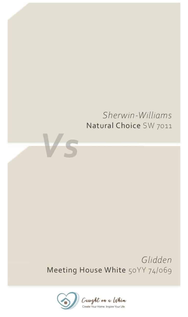 SherwinWilliams Natural Choice SW 7011 The Cozy Backdrop for Your Home
