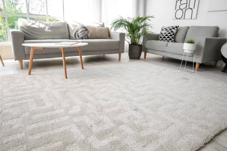 using carpet in your house